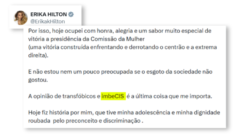 Erika Hilton chama críticos digitais de 