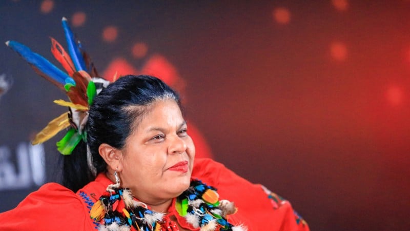 Sonia Guajajara foi eleita deputada federal pelo Psol de São Paulo, mas não chegou a exercer ainda o mandato, por ter assumido o ministério no primeiro dia do governo Lula.