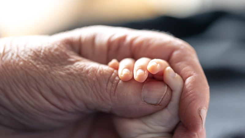 Projeto prevê que irmãos, avós e bisavós podem receber salário-maternidade em caso de morte.