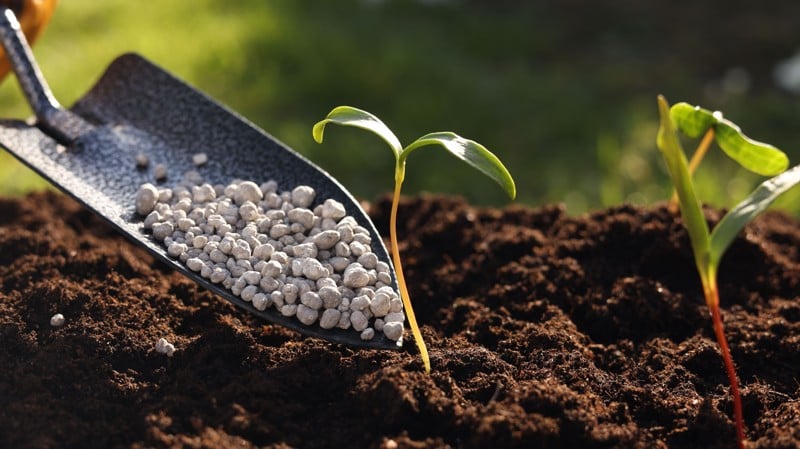 Interrupção no fluxo de fertilizantes expõe risco global à segurança alimentar e pressiona preços no mundo.