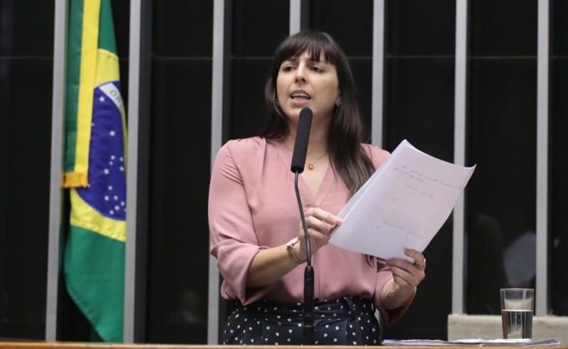 Plenário aprovou substittutivo apresentado pela deputada Natália Bonavides.