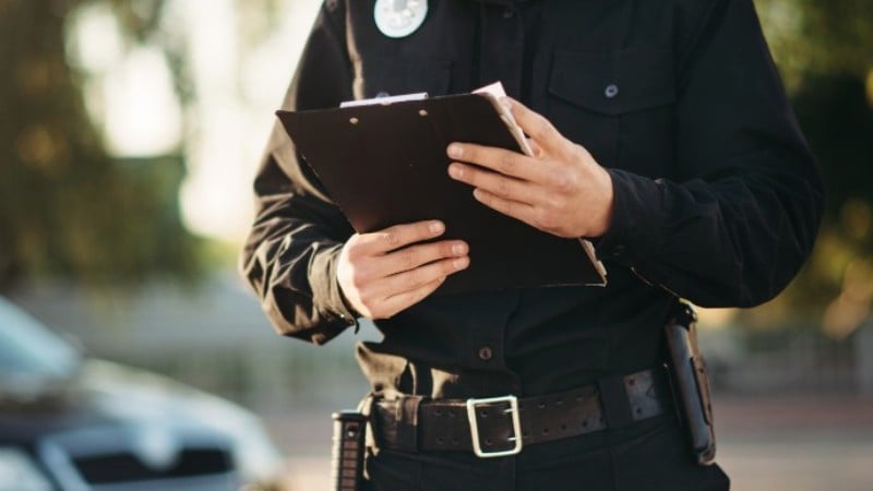 Relator afirma que porte representa 