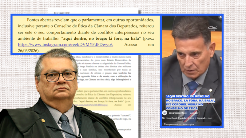 Trecho da decisão do ministro Flávio Dino.