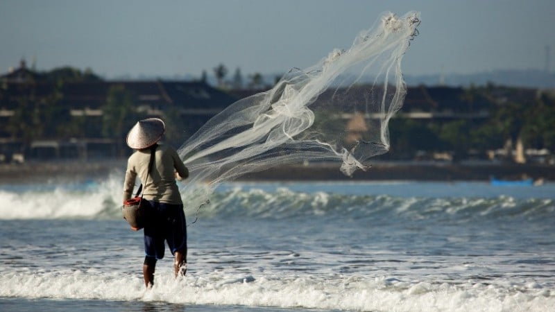 MP busca evitar novas fraudes ao seguro-defeso, com novos parâmetros de segurança e gestão.