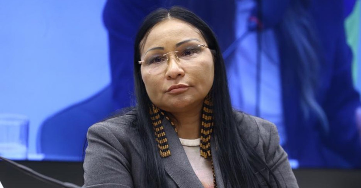 Sílvia Waiãpi : l'analyse économique — image 3