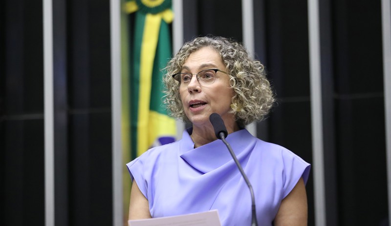 Proposta apresentada por Ana Paula Lima prevê remoção rápida de vídeos de violência contra animais nas redes sociais.