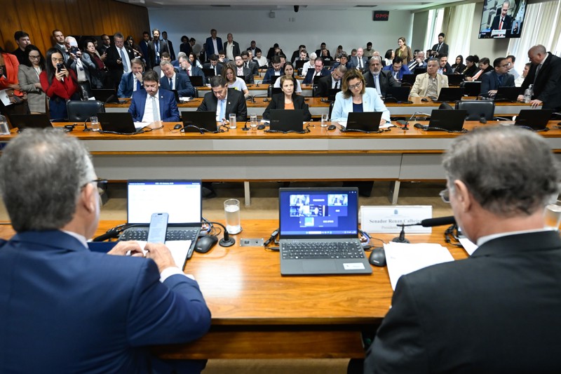 Texto aprovado na CAE permite financiar abrigos e programas de controle populacional de animais domésticos.
