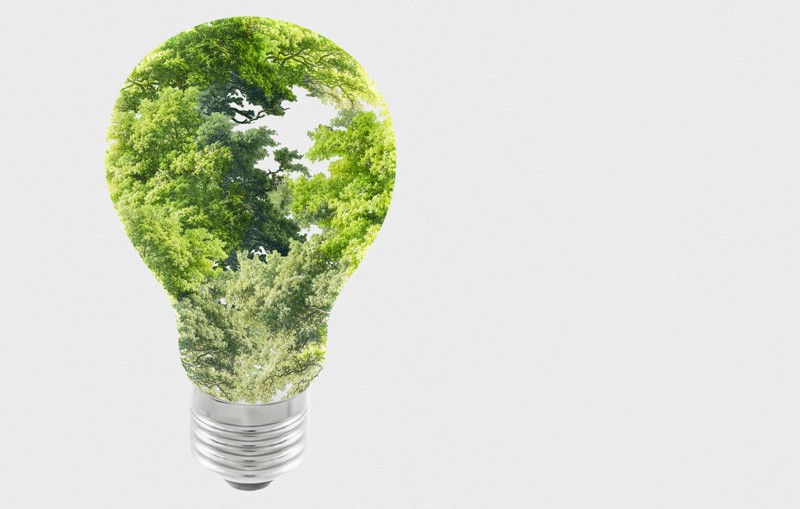 Em uma economia movida por ativos intangíveis, sustentabilidade deixa de ser custo e passa a atuar como vantagem competitiva.