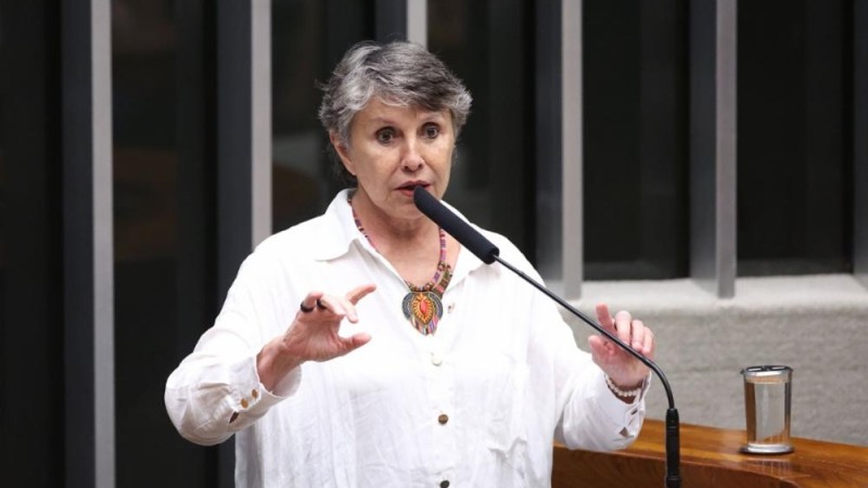 A proposta foi relatada pela deputada Erika Kokay.