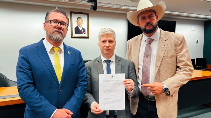 Congressistas alegam irregularidade no apensamento das três representações em um só parecer. 