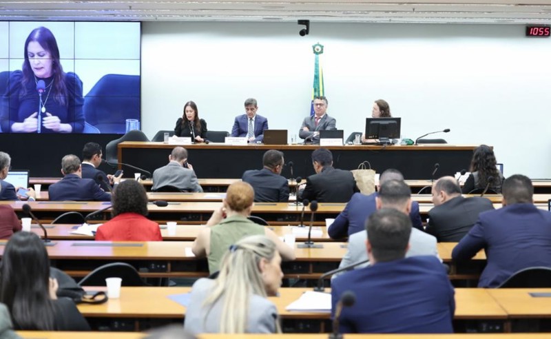Debate antecede a apresentação do parecer do relator, Leo Prates, marcada para esta quarta-feira (20) na comissao especial.