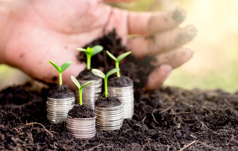 Texto cria mecanismos para estimular contratação de seguro rural no agronegócio.