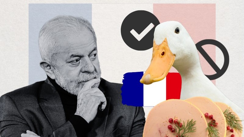 Brasil pode se tornar o primeiro país na América do Sul a proibir a importação do foie gras.