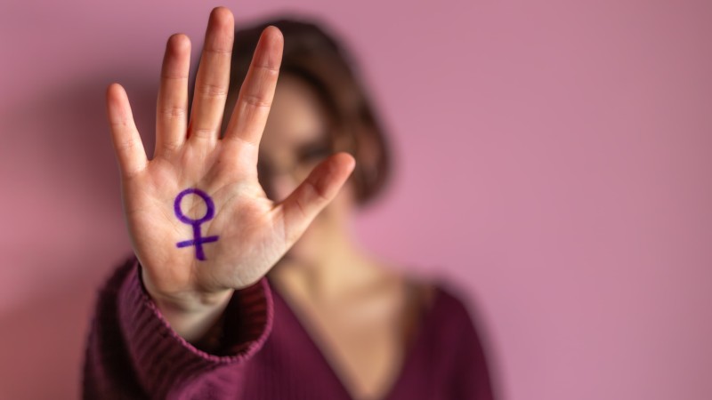 A proposta cria o Banco Nacional de Boas Práticas na Prevenção e no Combate à Violência contra a Mulher.