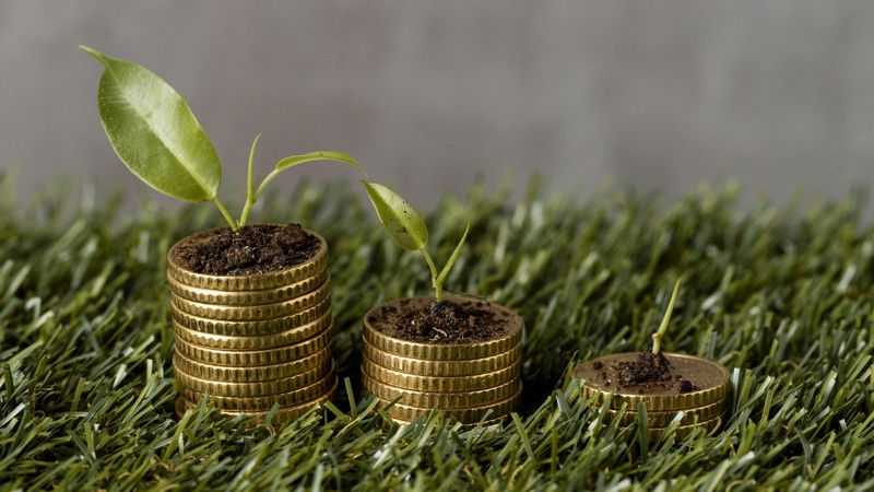 Ajustar regras, fortalecer a assistência técnica e apoiar a sociobioeconomia pode transformar o crédito rural em instrumento de inclusão, renda e conservação ambiental.