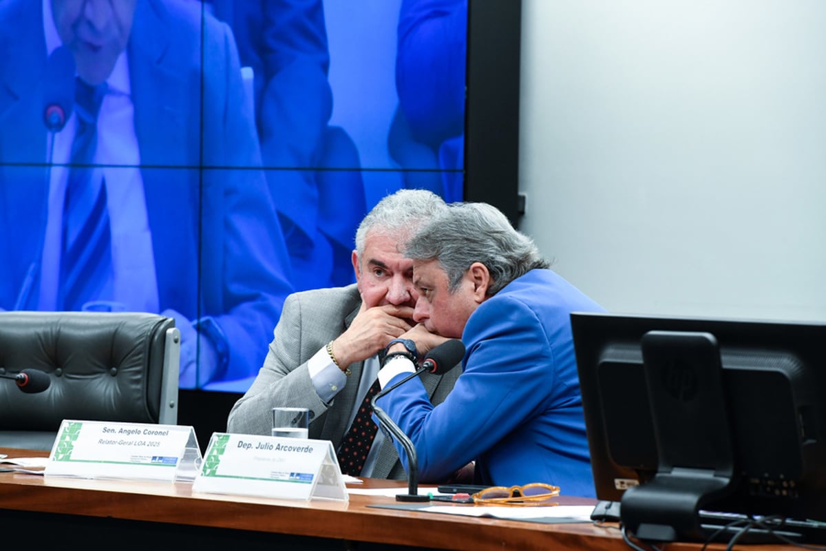 Relator da LOA, senador Angelo Coronel, e o presidente da CMO, deputado Júlio Arcoverde