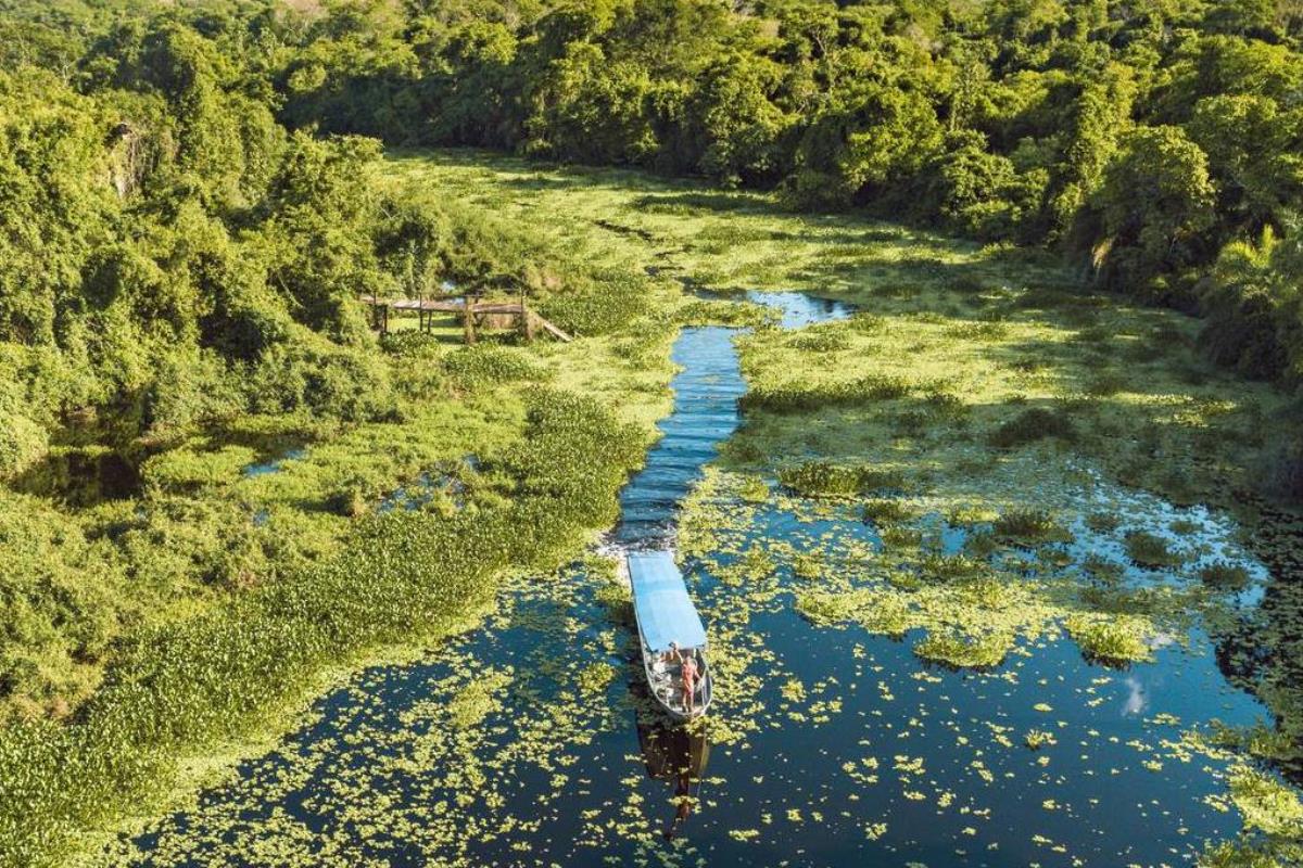 Pantanal Sul-Mato-Grossense pode ser reconhecido como patrimônio nacional.