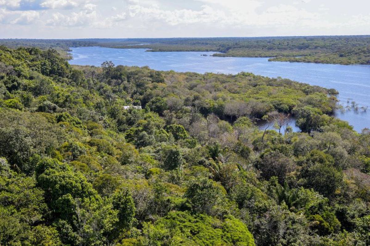 Vista aérea à beira do Rio Negro, no Amazonas