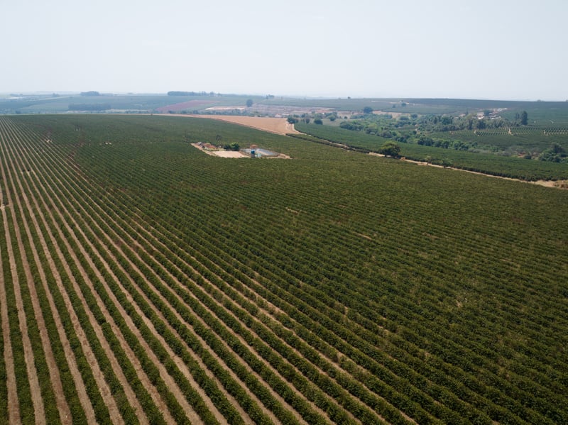 Com apenas 11% dos recursos do Renovagro, a Região Norte segue excluída de políticas agrícolas sustentáveis