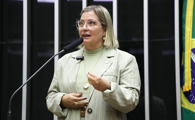 Deputada assume vaga em comissão sobre parcelamento de dívidas
