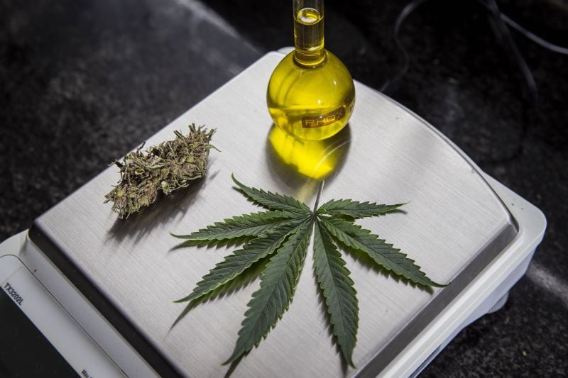 Governo trabalha com a estimativa de que mais de 670 mil pessoas no Brasil usam fármacos à base de cannabis para tratar condições graves.