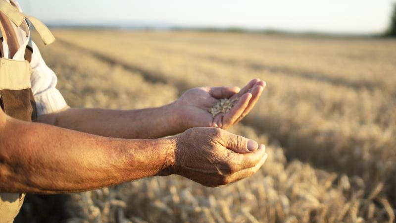 Reduzir burocracias e garantir segurança jurídica é essencial para impulsionar o agro.