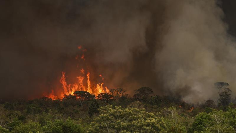 Projeto inclui punição a empresas e pessoas que causarem destruição irreversível da natureza.
