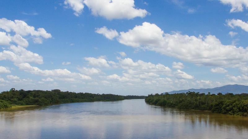 Aprovação da lei do mercado de carbono reforça papel brasileiro no combate às mudanças climáticas.