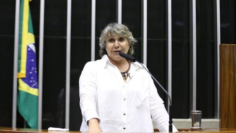 A deputada Erika Kokay (PT-DF) relatou a proposta na comissão.