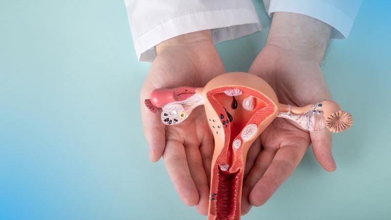Projeto no Senado propõe duas semanas de repouso remunerado para ambos os pais quando há aborto espontâneo.