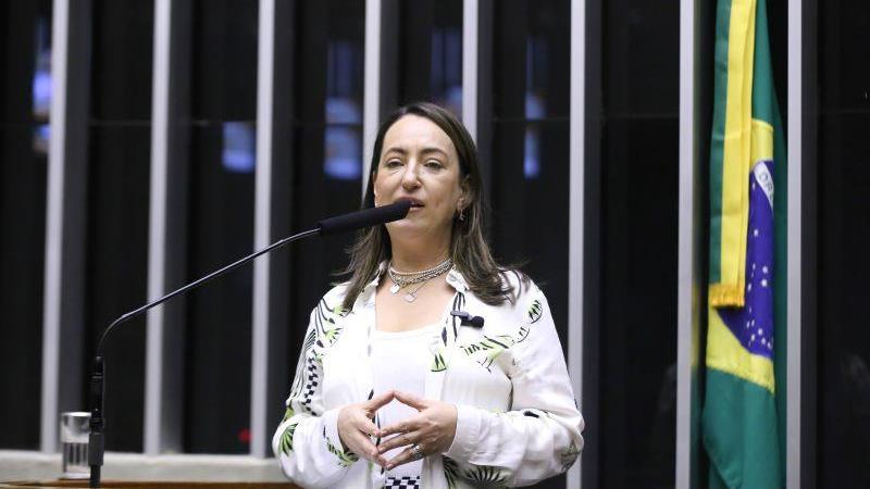 A deputada Rosangela Moro (União Brasil-PR) foi a relatora do projeto.
