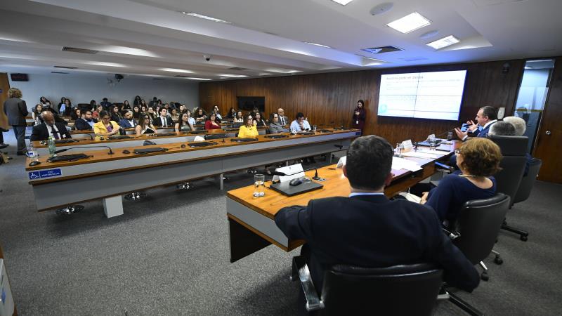 Comissão julgará nove projetos.