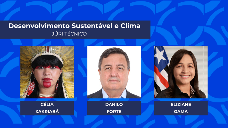 Parlamentares destaque na área de Desenvolvimento Sustentável e Clima por análise do júri técnico do Prêmio Congresso em Foco 2025.