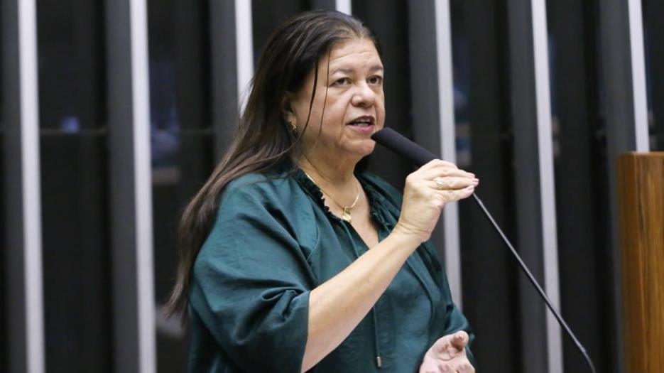 Dep. Laura Carneiro (PSD - RJ)
