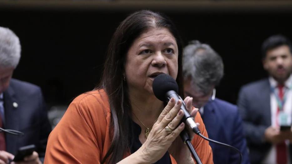 Relatora Dep. Laura Carneiro (PSD-RJ)