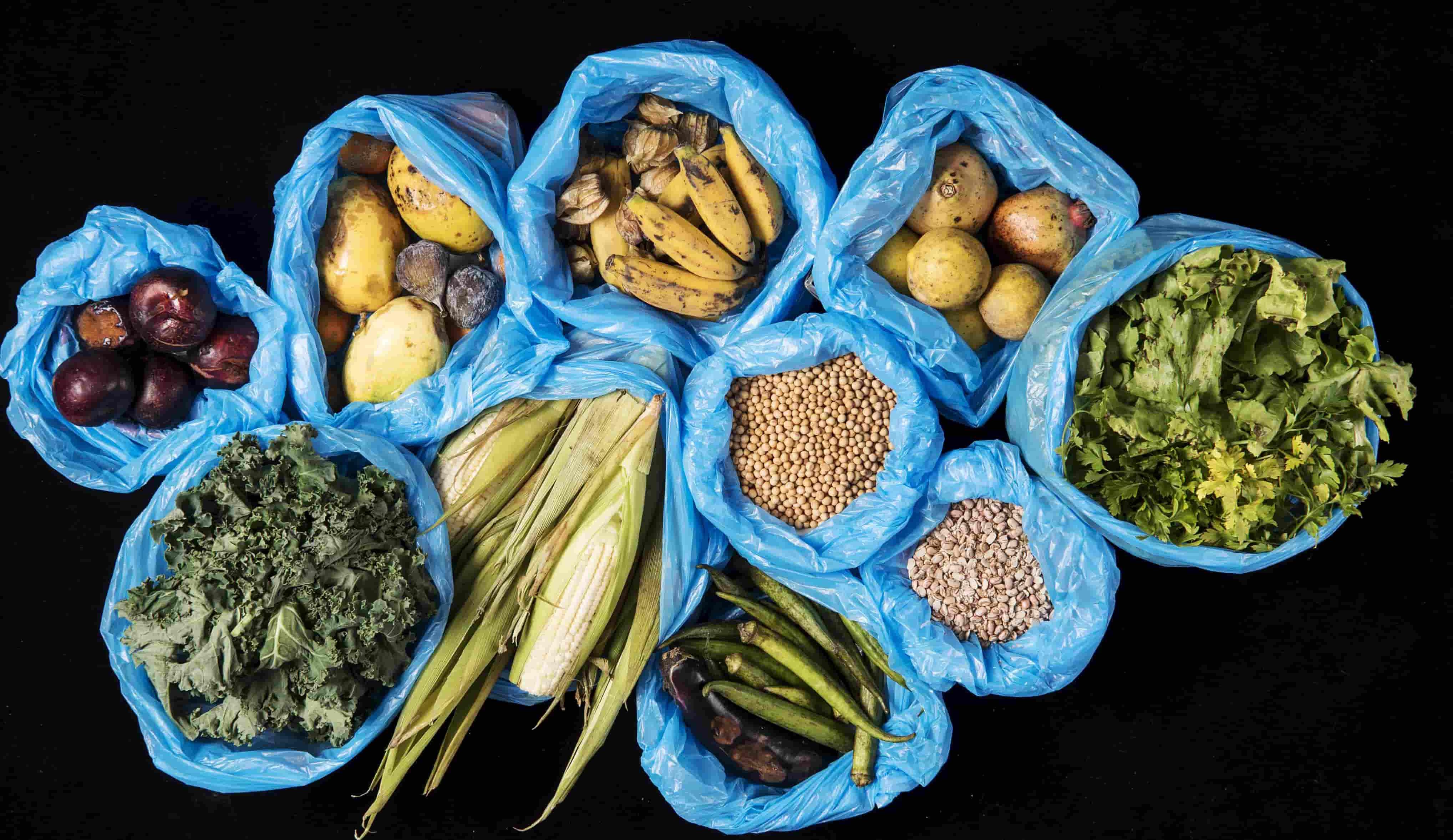 Projeto aprovado busca estimular doações e reduzir impacto social, econômico e ambiental do desperdício de alimentos.