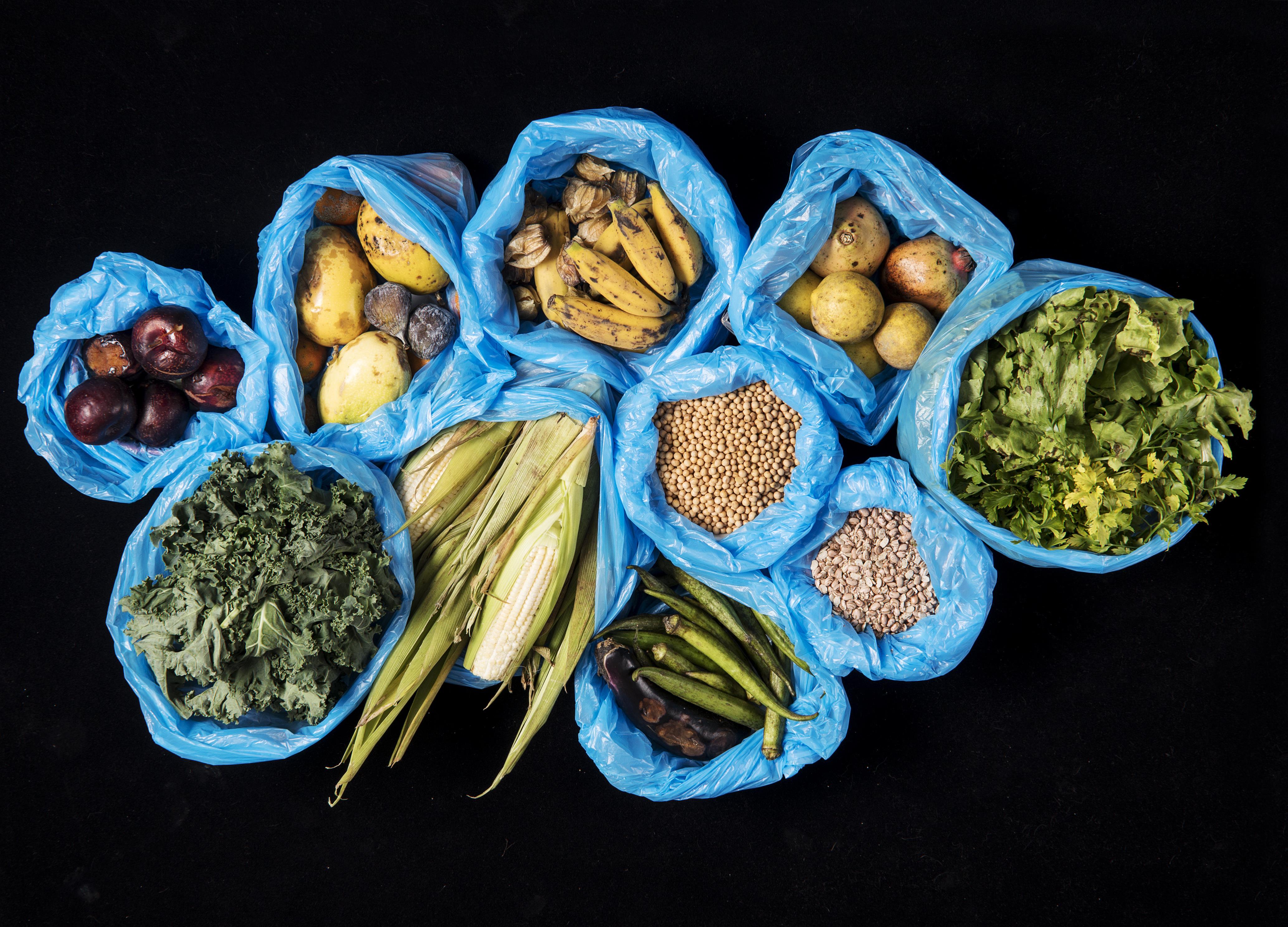 Projeto aprovado busca estimular doações e reduzir impacto social, econômico e ambiental do desperdício de alimentos.