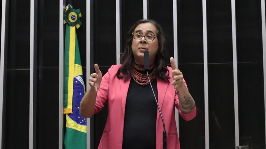 Dep. Duda Salabert (PDT-MG).