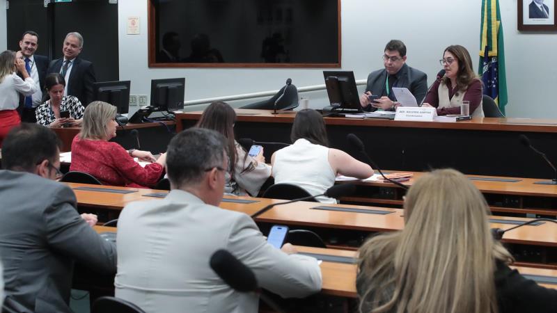 Grupo foi instalado pelo presidente da Câmara, Hugo Motta (Republicanos-PB).