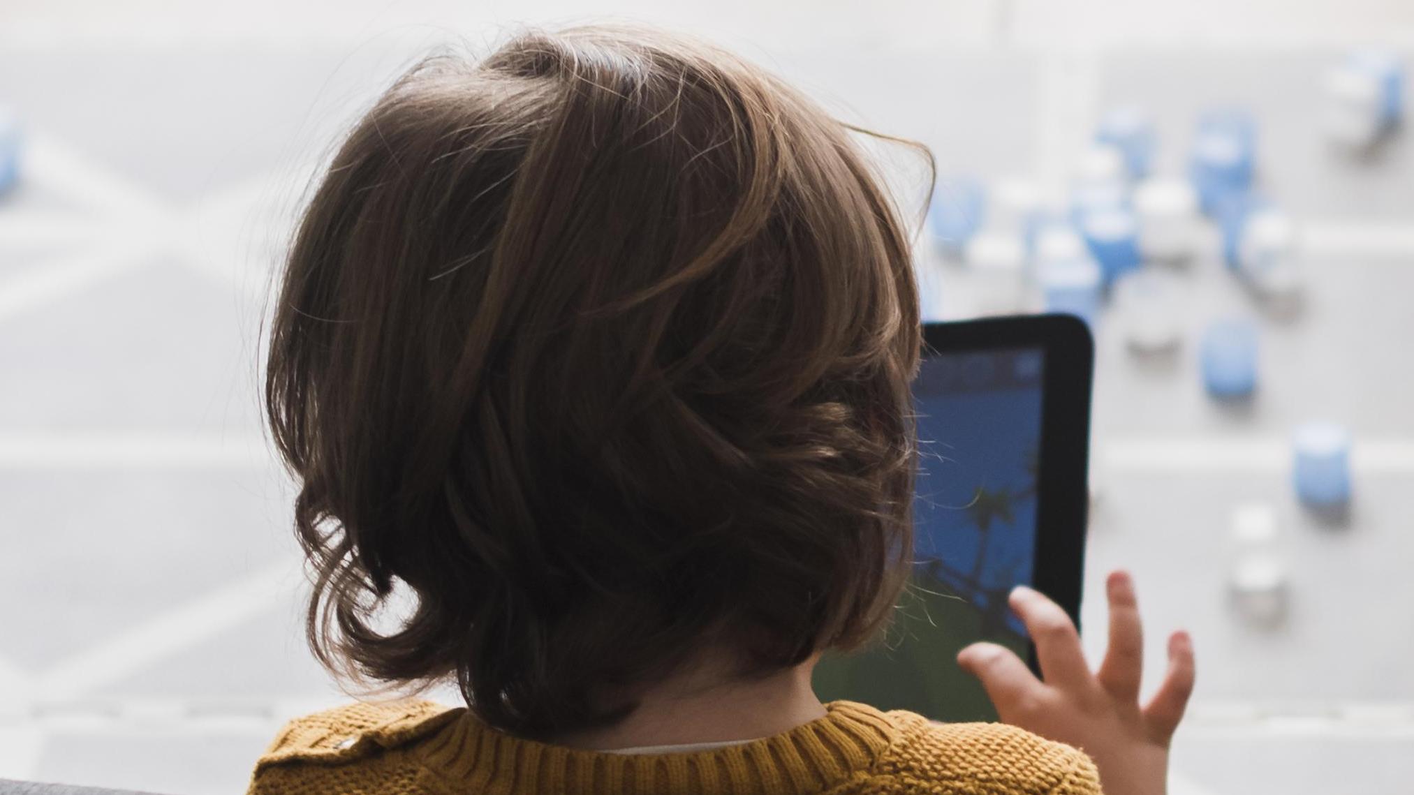 Proteção online exige mais que leis.