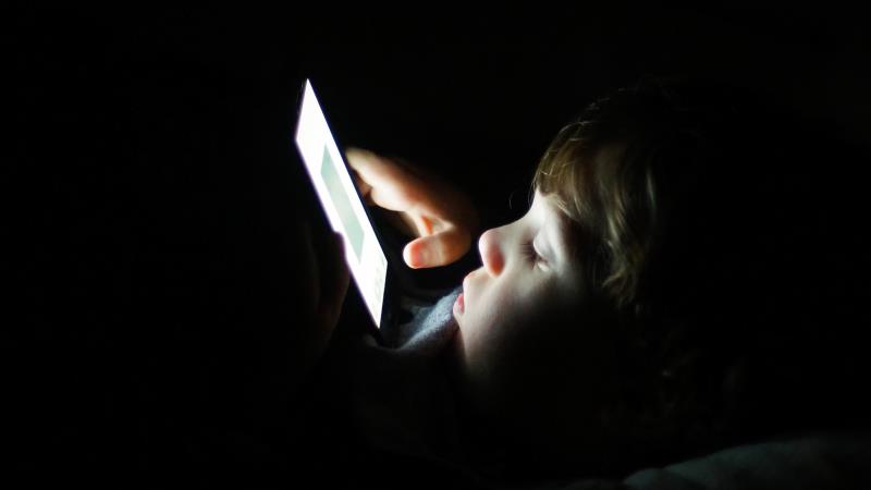 Proteção digital exige ação integrada de Estado, escolas e famílias.