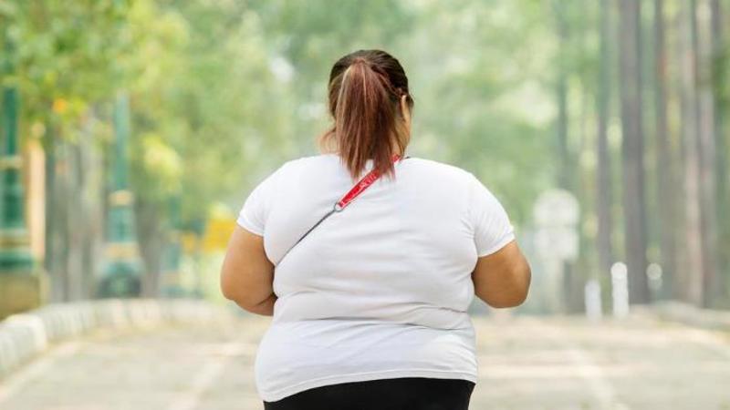 Aprovado na CCJ, o Estatuto da Pessoa com Obesidade garante saúde, trabalho e educação sem discriminação.