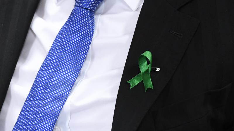 O laço verde é o símbolo da campanha Setembro Verde, iniciativa nacional para a conscientização da doação de órgãos e tecidos. 