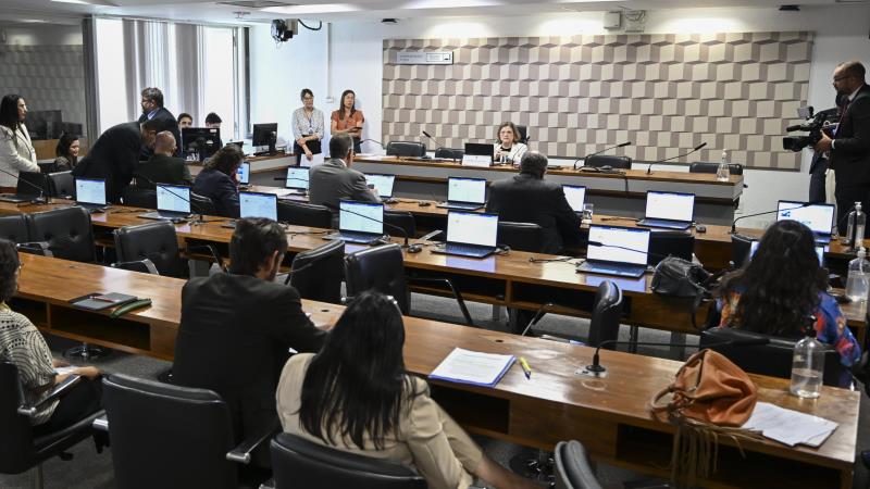 Texto prevê que a regulamentação faça parte da Lei de Diretrizes e Bases da Educação.