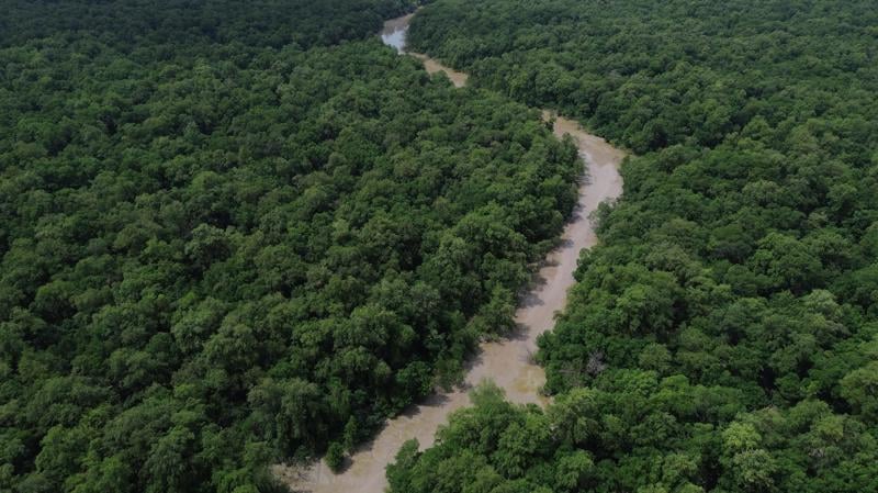 Vista de um braço do Rio Caeté em área de manguezal na Reserva Extrativista Marinha de Caeté-Taperaçu monitorada pelo projeto Mangues da Amazônia.