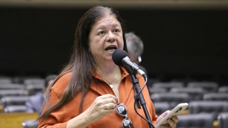 Dep. Laura Carneiro (PSD - RJ).