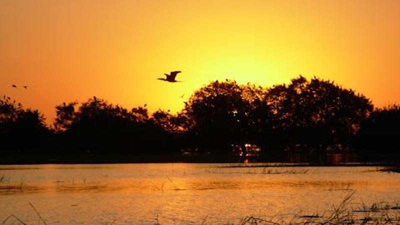 Estatuto do Pantanal agora é lei.
