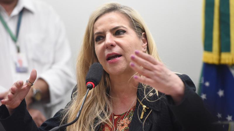 Deputada Luizianne Lins e demais brasileiros da Flotilha Global Sumud começam a ser julgados neste sábado.