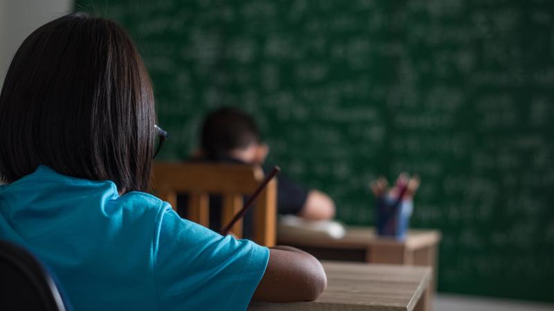 Exclusão dos contratos temporários seria um erro que limitaria o potencial transformador do setor educacional.