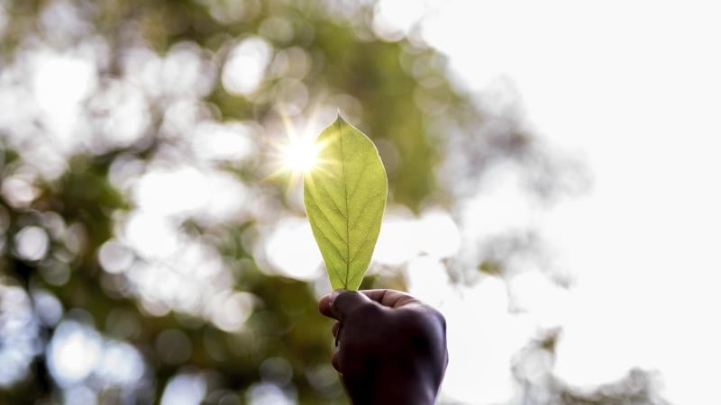 Brasil pode liderar novo ciclo verde se Câmara aprovar marco da circularidade.